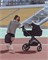 Коляска 2 в 1 Carrello Omega Plus CRL-6540/1 Cosmo Black 1971211040 - фото 20705