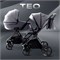 Детская коляска Rant Teo 2 в 1 Grey 2026606766 - фото 2086