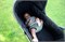 Детская коляска Bumbleride Era 2 в 1 Dusk Premium 1104406383 - фото 22438
