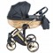 Детская коляска Adamex Chantal Star Collection 2 в 1 STAR102 черный+золотой 1201517628 - фото 22640