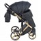 Детская коляска Adamex Chantal Star Collection 2 в 1 STAR102 черный+золотой 1201517628 - фото 22658