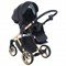 Детская коляска Adamex Chantal Star Collection 2 в 1 STAR102 черный+золотой 1201517628 - фото 22660