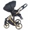 Детская коляска Adamex Chantal Star Collection 2 в 1 STAR102 черный+золотой 1201517628 - фото 22661