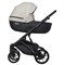 Детская коляска Riko Basic Montana Ecco 2 в 1 31 Light Silver-Black 1208791167 - фото 22981