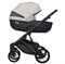 Детская коляска Riko Basic Montana Ecco 2 в 1 31 Light Silver-Black 1208791167 - фото 22982