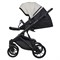 Детская коляска Riko Basic Montana Ecco 2 в 1 31 Light Silver-Black 1208791167 - фото 22988
