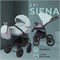 Детская коляска Rant Siena New 2 в 1 10 серый-ментоловый 621183053 - фото 23223