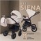 Детская коляска Rant Siena New 2 в 1 03 св.бежевый 1611087623 - фото 23266