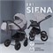 Детская коляска Rant Siena New 2 в 1 02 т.серый-св.серый 432036624 - фото 23354