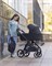 Коляска 2 в 1 Carrello Omega Plus CRL-6540 с адаптером для автокресла Nova Cosmo Black 68549795 - фото 23443