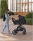 Коляска 2 в 1 Carrello Omega Plus CRL-6540 с адаптером для автокресла Nova Cosmo Black 68549795 - фото 23448
