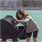 Коляска 2 в 1 Carrello Omega Plus CRL-6540 с адаптером для автокресла Nova Cosmo Black 68549795 - фото 23481