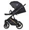 Детская коляска Riko Basic Montana Premium Gold 2 в 1 02 Black 194732478 - фото 23542