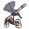 Детская коляска Adamex Chantal Star Collection 2 в 1 STAR004 серый+роз.золото 1790904772 - фото 23775