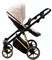 Детская коляска Adamex Belissa Special Edition 2 в 1 B-PS560 (СВ.БЕЖ ЗОЛОТ.РАМ) 397544599 - фото 24137