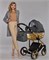 Детская коляска Adamex Chantal Star Collection 2 в 1 STAR001 ГРАФИТ+ЗОЛОТО БЛЕСТКИ+ЗОЛОТО РАМА 551831086 - фото 24680