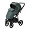 Детская коляска Adamex Bibione Deluxe 2 в 1 BI-SM15 (Т.ЗЕЛЕНАЯ ПЕРЛ. КОЖА) 1429919701 - фото 26262