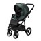 Детская коляска Adamex Bibione Deluxe 2 в 1 BI-SM15 (Т.ЗЕЛЕНАЯ ПЕРЛ. КОЖА) 1429919701 - фото 26264