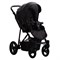 Детская коляска AroTeam Amaro Prima 2 в 1 05 черная кожа 1165949780 - фото 26895