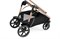 Коляска 2 в 1 Peg Perego Veloce Belvedere Mon Amour 1394263353 - фото 27883