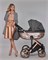 Детская коляска Adamex Chantal Star Collection 2 в 1 STAR002A СЕРЫЙ С СЕРЕБР.ЛЮРЕКСОМ+ХРОМ.РАМА 902603550 - фото 27922