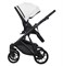 Детская коляска Riko Basic Montana Ecco 2 в 1 32 White-Light Silver 343477055 - фото 28331