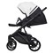 Детская коляска Riko Basic Montana Ecco 2 в 1 32 White-Light Silver 343477055 - фото 28334