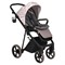 Детская коляска Roan Sol Flowers 2 в 1 RSF/5001 Powder/Rose gold 1130356057 - фото 31872