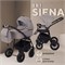 Детская коляска Rant Siena New 2 в 1 06 бежевый 716270360 - фото 32250