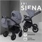 Детская коляска Rant Siena New 2 в 1 07 серый 1402256989 - фото 32343