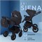 Детская коляска Rant Siena New 2 в 1 08 графит 781936401 - фото 32436