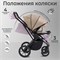 Детская коляска Sweet Baby Massimo SBL 2 в 1 Beige 1158938685 - фото 32564