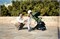 Детская коляска Anex Air-X Travel Cot 2 в 1 avo/gray 1816157591 - фото 32969