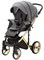 Детская коляска Adamex Quantum Star 2 в 1 Q-STAR1 (ГРАФИТ+ЗОЛОТЫЕ БЛЕСТКИ+ЗОЛОТО РАМА) 1952327357 - фото 33351