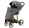 Детская коляска Adamex Quantum Star 2 в 1 Q-STAR1 (ГРАФИТ+ЗОЛОТЫЕ БЛЕСТКИ+ЗОЛОТО РАМА) 1952327357 - фото 33352