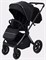 Детская коляска Rant Falcon Therm 2 в 1 Black 990047575 - фото 34206