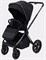 Детская коляска Rant Falcon Therm 2 в 1 Black 990047575 - фото 34207