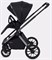 Детская коляска Rant Falcon Therm 2 в 1 Black 990047575 - фото 34214