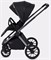 Детская коляска Rant Falcon Therm 2 в 1 Black 990047575 - фото 34216