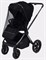 Детская коляска Rant Falcon Therm 2 в 1 Black 990047575 - фото 34227