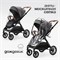 Детская коляска 2 в 1 Tomix Prime Grey 1454977505 - фото 34586