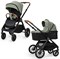 Детская коляска 2 в 1 Tomix Prime Olive 1931480437 - фото 34588