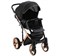 Детская коляска Adamex Chantal Special Edition 2 в 1 C8 (ЧЕРН+ЧЕРН.РИФЛЕН.ДНО+БРОНЗА РАМА) 525780662 - фото 34753