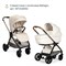 Коляска Chicco Bellagio 2 в 1 Amber Glow 529391703 - фото 34915