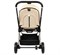 Коляска 2 в 1 Labala Raiz Lite Beige 1119666348 - фото 35317