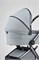 Детская коляска Anex l/type 2 в 1 lt-10t frost 541107766 - фото 3536