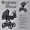 Коляска 2 в 1 Labala Raiz Edition Line 2025 Anthrazit 2032210406 - фото 35404