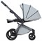 Детская коляска Anex l/type 2 в 1 lt-10t frost 541107766 - фото 3546