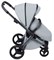 Детская коляска Anex l/type 2 в 1 lt-10t frost 541107766 - фото 3553