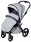 Детская коляска Anex l/type 2 в 1 lt-10t frost 541107766 - фото 3555